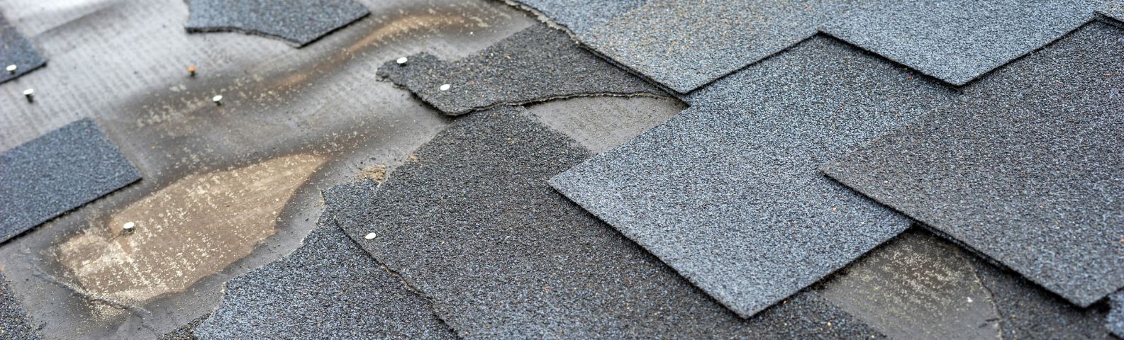Shingle Repair Service