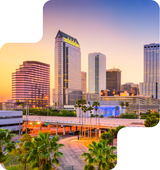 Tampa Bay Cityscape