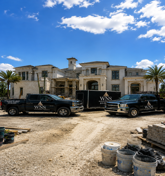 WNS Development Group Project